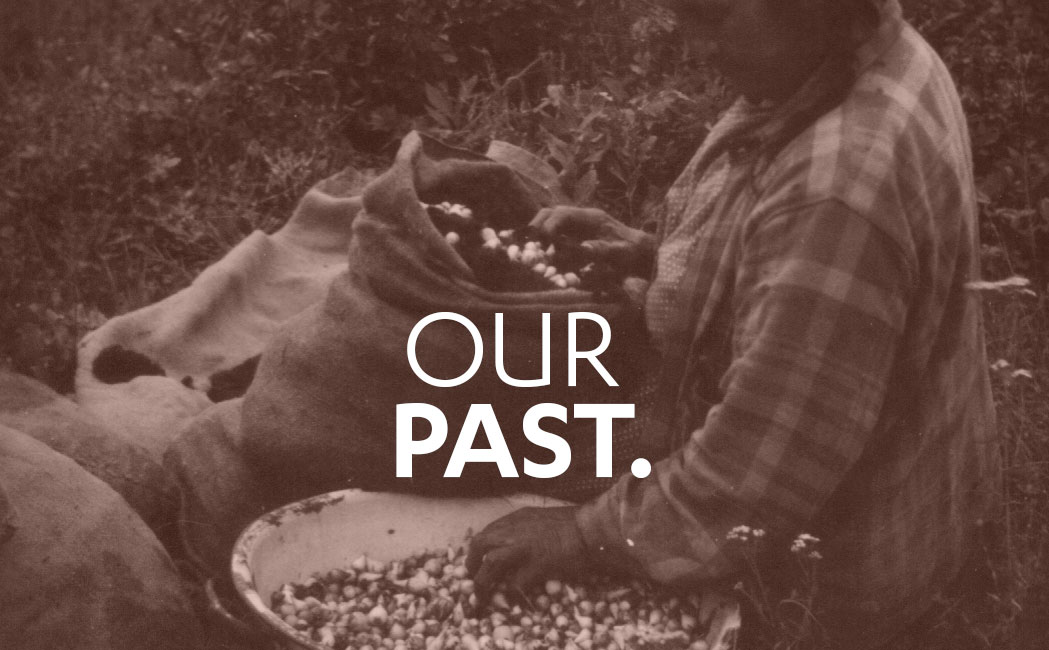 Our Past